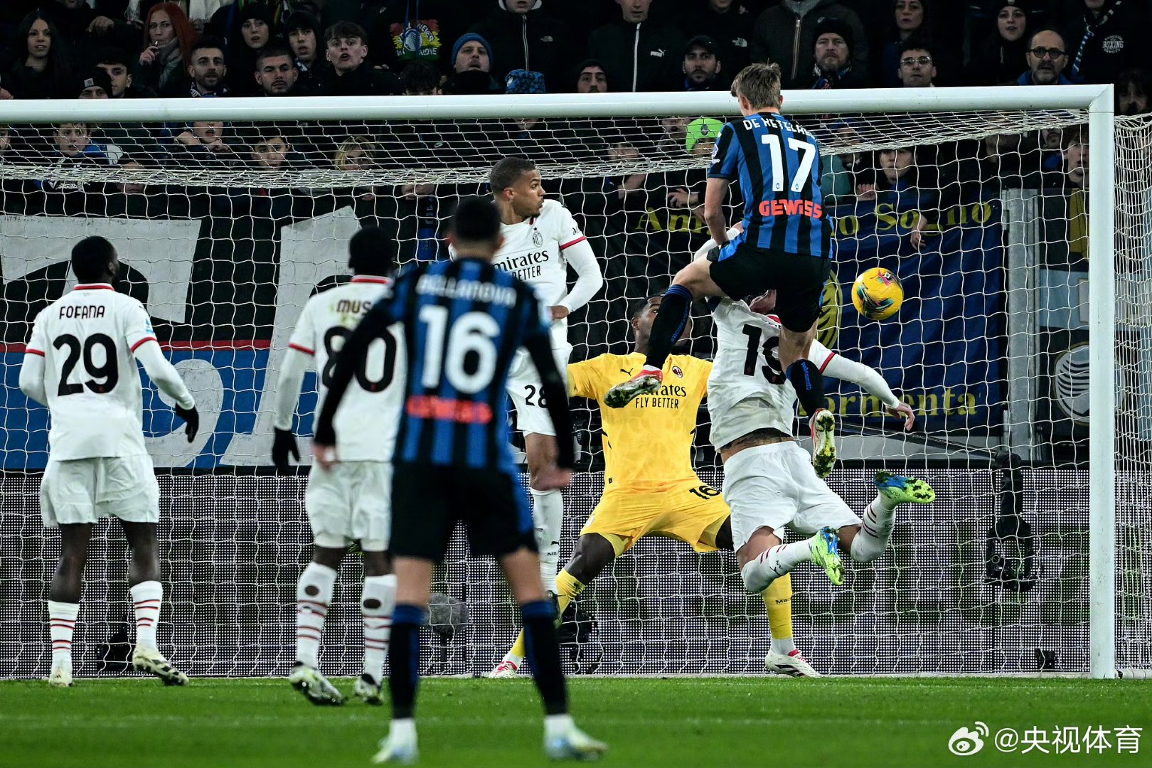 育馆树立了 育馆树立了