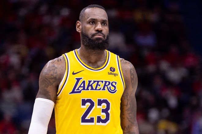 的观赏性 的观赏性